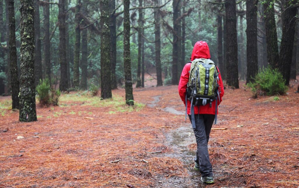 Best Rain Jackets of 2024